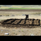 Wo Brennholz knapp ist, wird Dung getrocknet